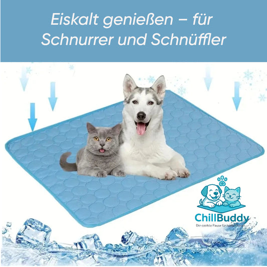 ChillBuddy – Die coolste Pause für heiße Pfoten